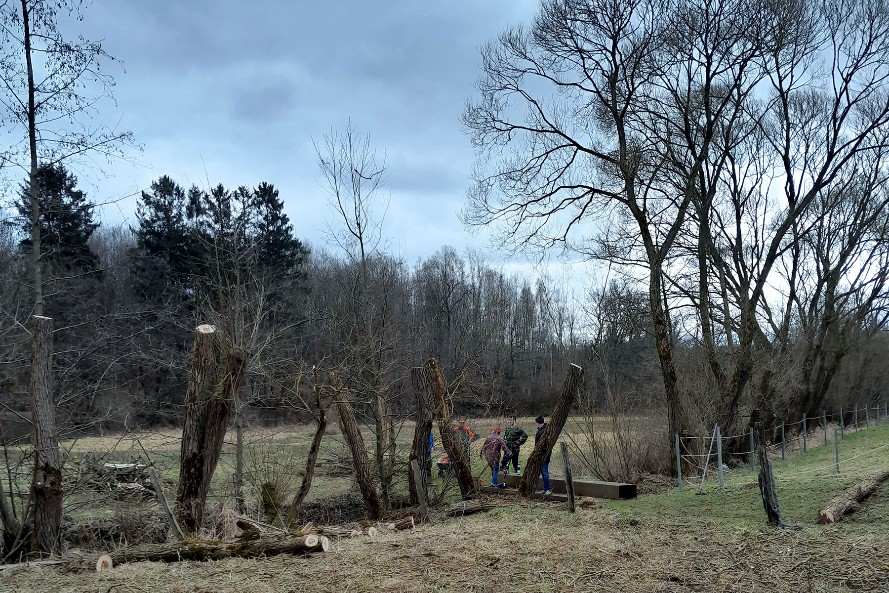pflanzen. pflegen. sägen. II
